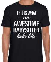 Awesome babysitter oppaser cadeau t shirt zwart heren speelgoed