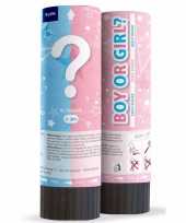 Babyshower gender reveal partypopper meisje speelgoed