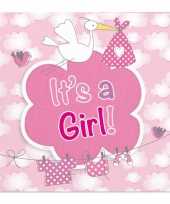 X geboorte meisje babyshower servetten roze papier speelgoed